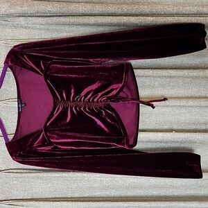 Burgundy Velvet Longsleeved Crop Top